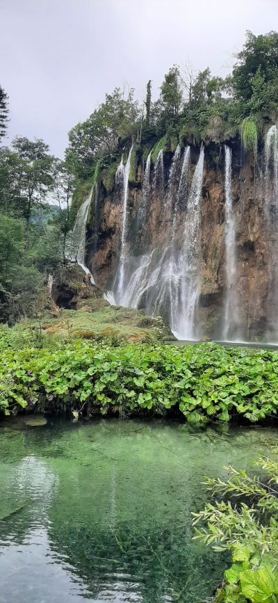 Imagen de una cascada en una selva