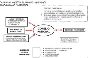 ¿Cómo se organiza Guadalupe?